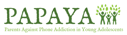 Papaya Workshops